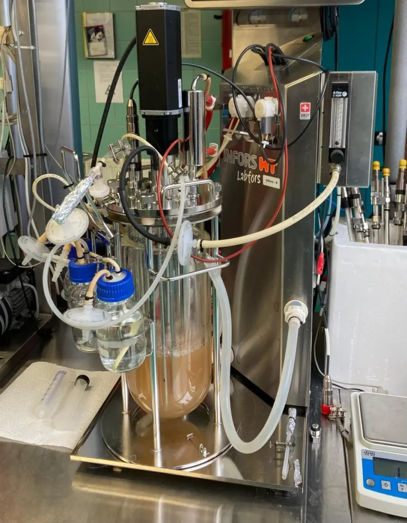 Sample analysis in the EcoBen laboratory